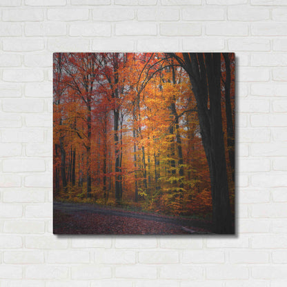 Luxe Metal Art 'Rainbow Fall' by Philippe Sainte-Laudy, Metal Wall Art,36x36
