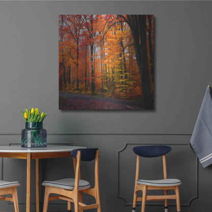 Luxe Metal Art 'Rainbow Fall' by Philippe Sainte-Laudy, Metal Wall Art,36x36