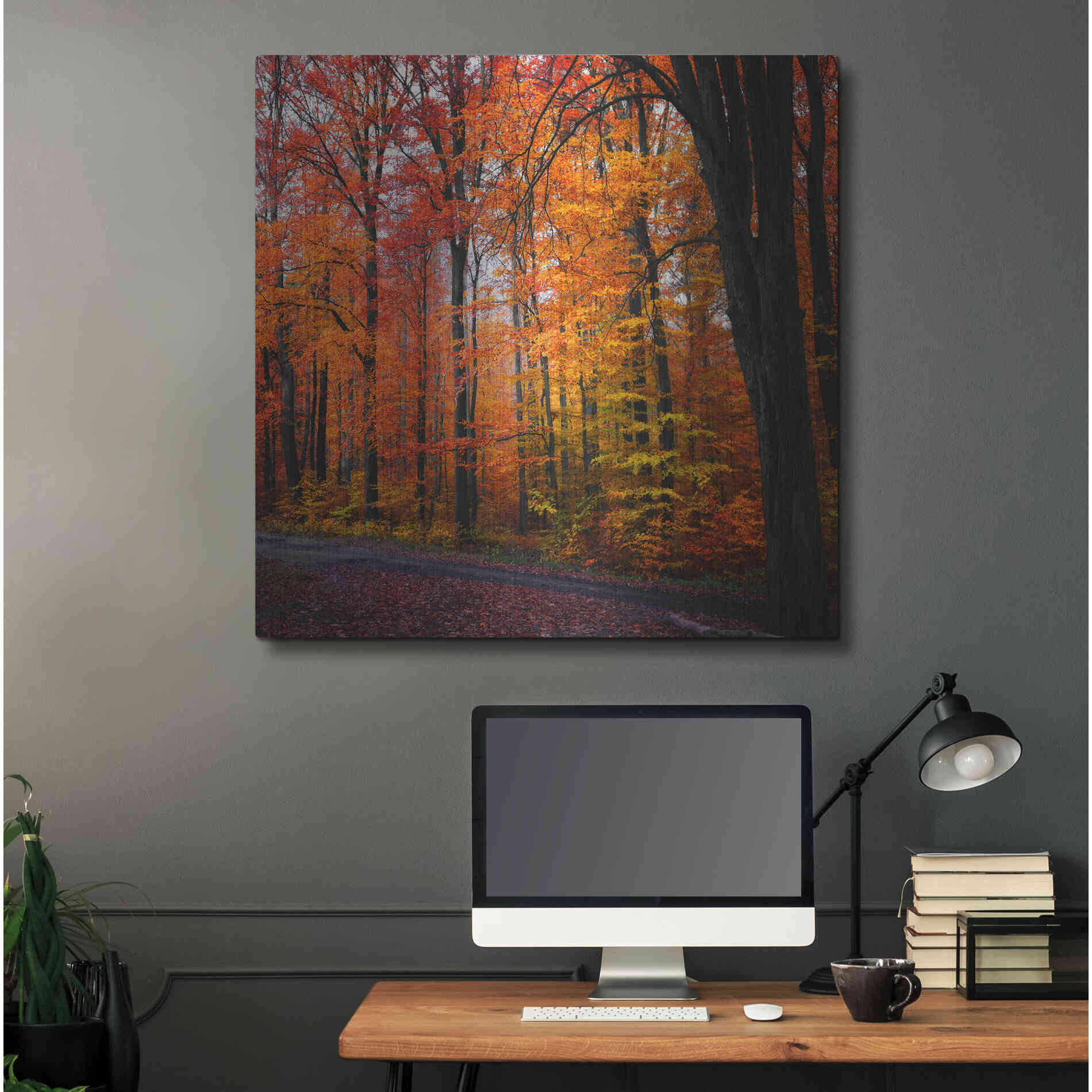 Luxe Metal Art 'Rainbow Fall' by Philippe Sainte-Laudy, Metal Wall Art,36x36