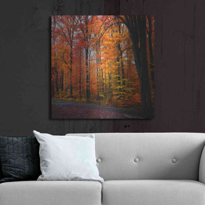 Luxe Metal Art 'Rainbow Fall' by Philippe Sainte-Laudy, Metal Wall Art,36x36