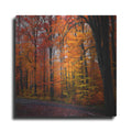 Luxe Metal Art 'Rainbow Fall' by Philippe Sainte-Laudy, Metal Wall Art