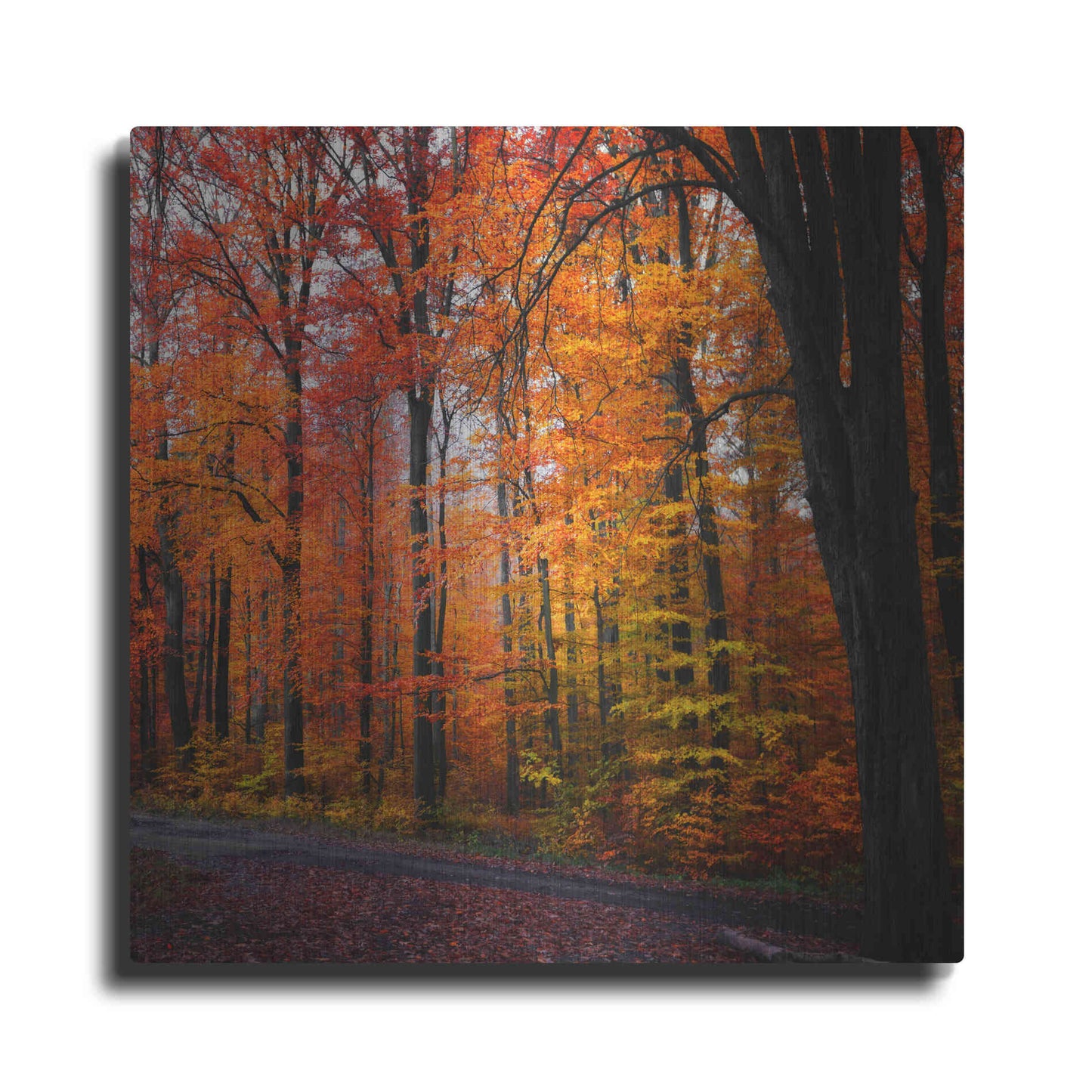 Luxe Metal Art 'Rainbow Fall' by Philippe Sainte-Laudy, Metal Wall Art
