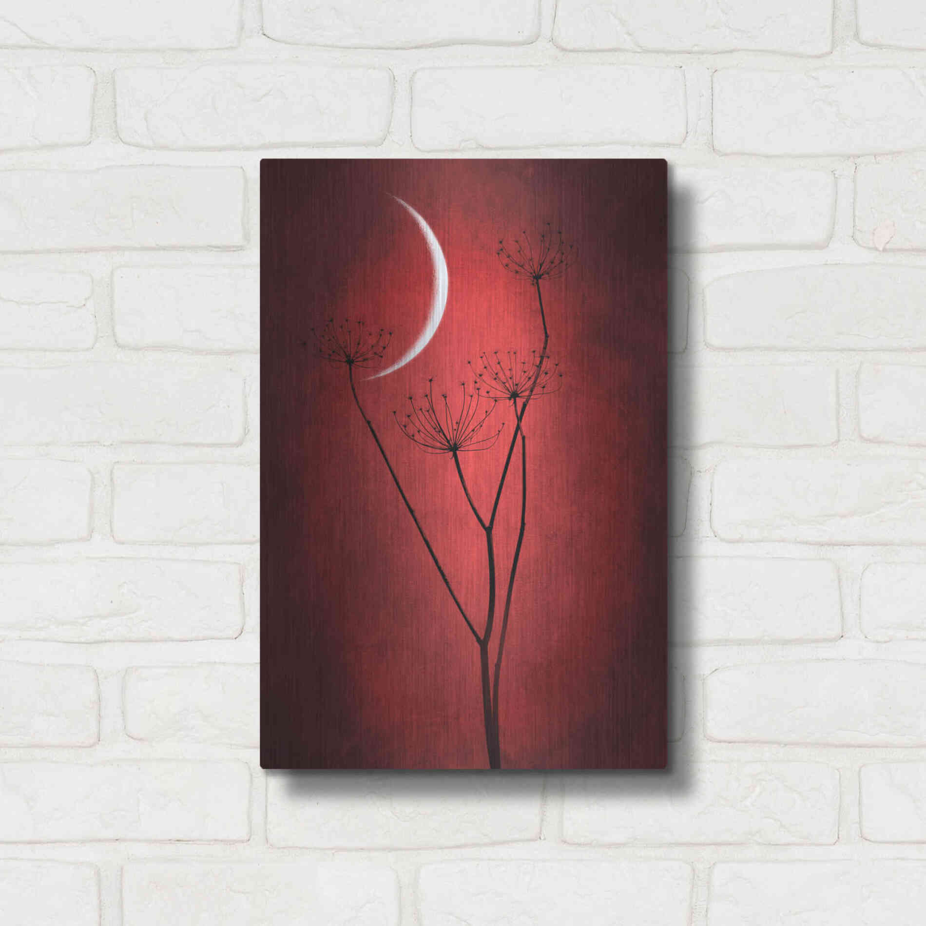 Luxe Metal Art 'Red Crescent Moon' by Philippe Sainte-Laudy, Metal Wall Art,12x16