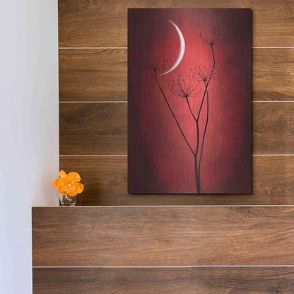 Luxe Metal Art 'Red Crescent Moon' by Philippe Sainte-Laudy, Metal Wall Art,12x16