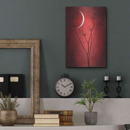 Luxe Metal Art 'Red Crescent Moon' by Philippe Sainte-Laudy, Metal Wall Art,12x16