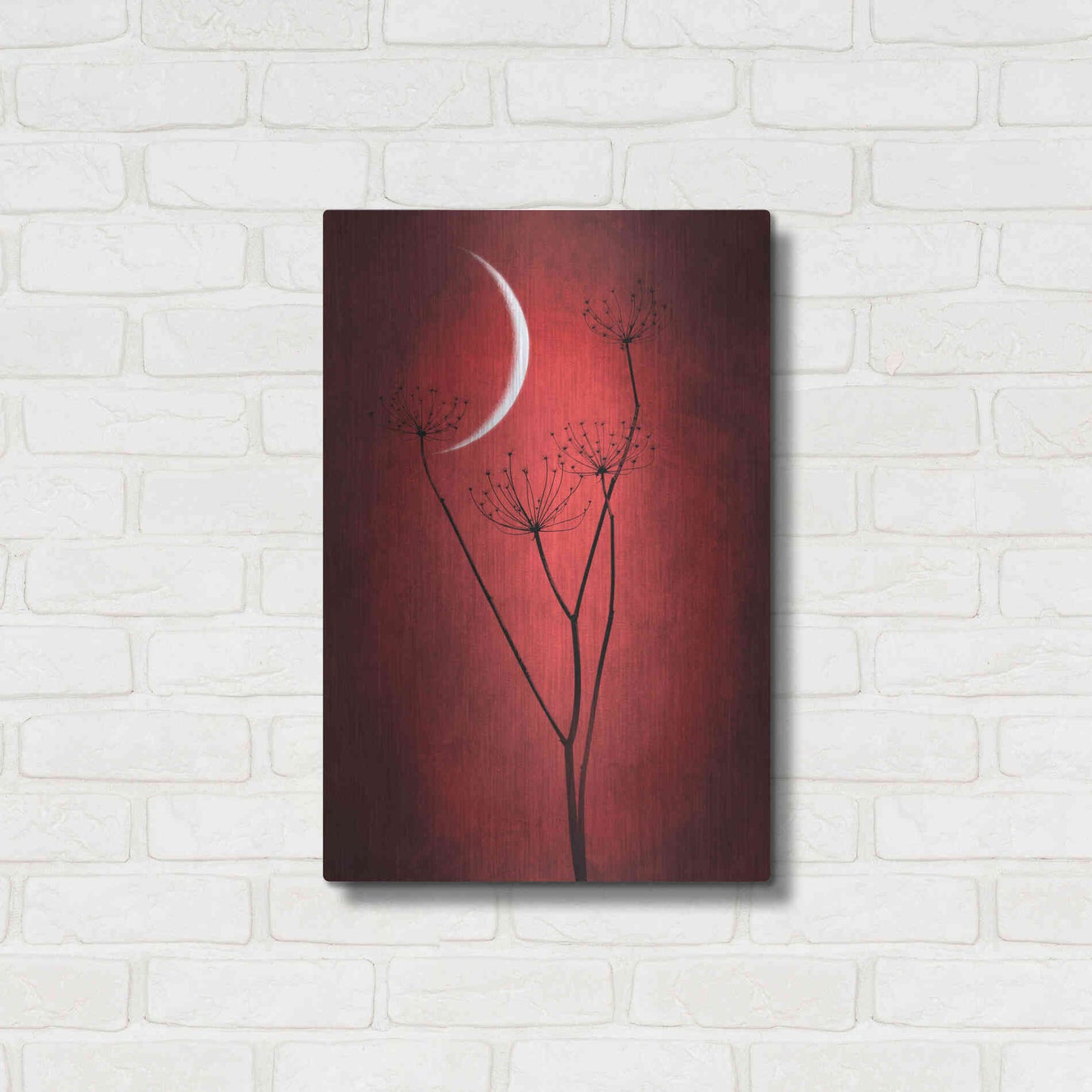 Luxe Metal Art 'Red Crescent Moon' by Philippe Sainte-Laudy, Metal Wall Art,16x24