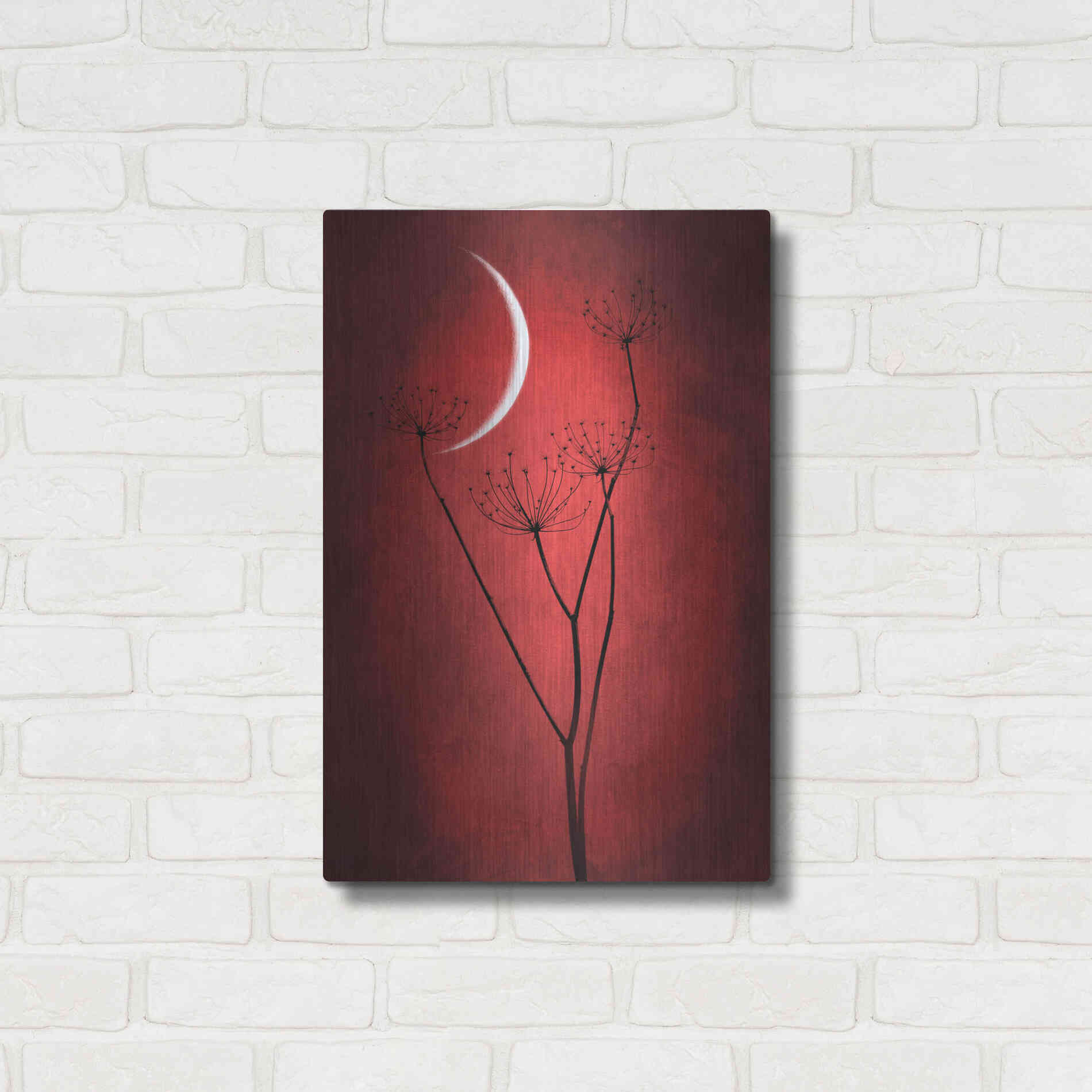 Luxe Metal Art 'Red Crescent Moon' by Philippe Sainte-Laudy, Metal Wall Art,16x24