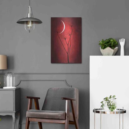 Luxe Metal Art 'Red Crescent Moon' by Philippe Sainte-Laudy, Metal Wall Art,16x24