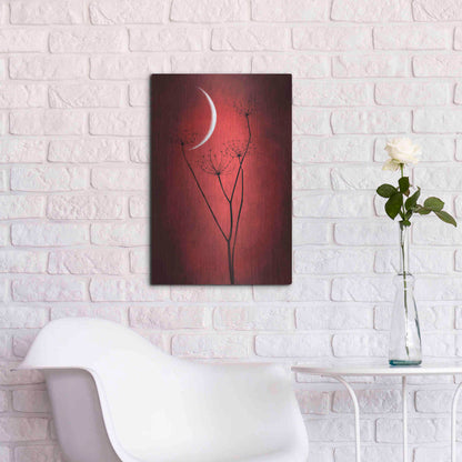 Luxe Metal Art 'Red Crescent Moon' by Philippe Sainte-Laudy, Metal Wall Art,16x24