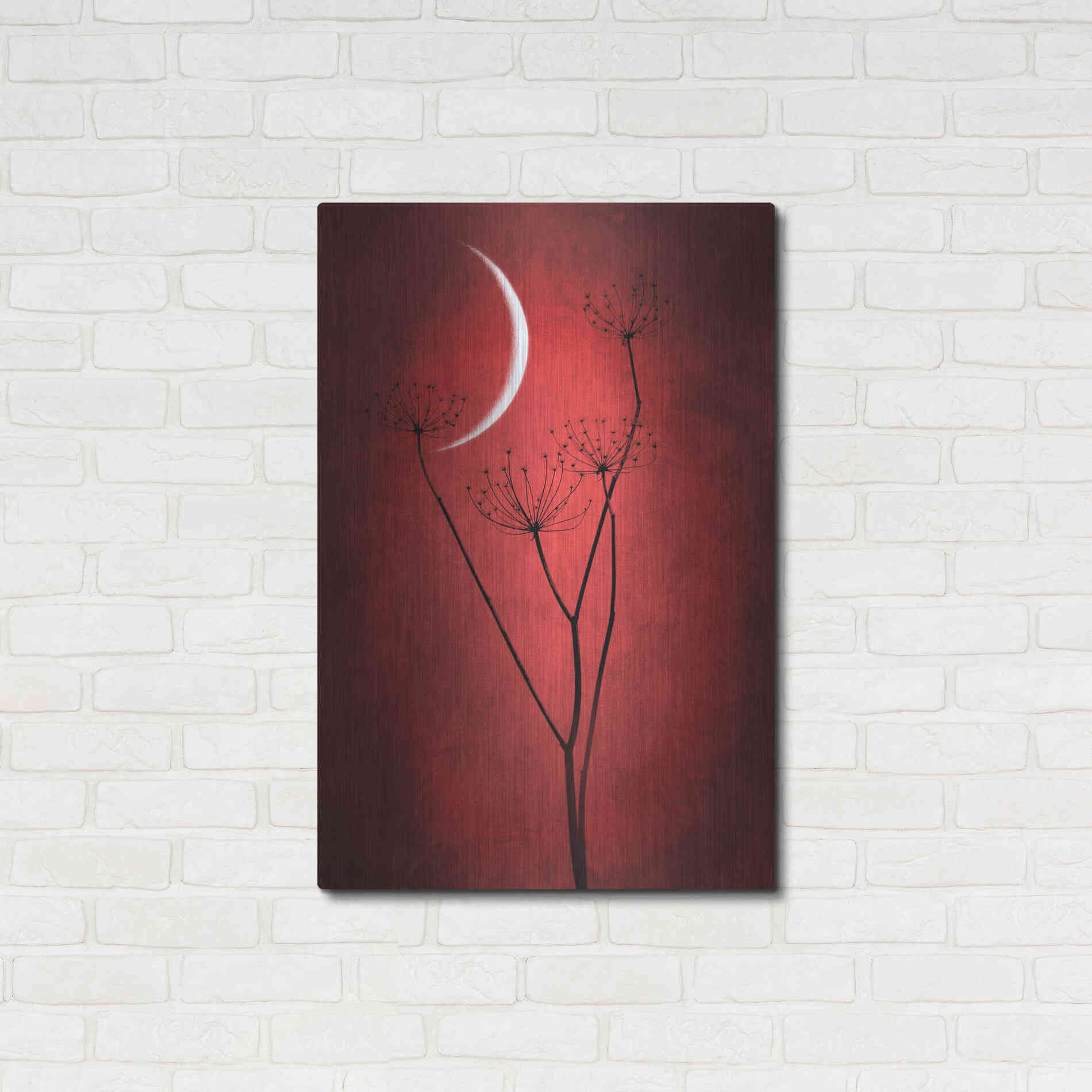 Luxe Metal Art 'Red Crescent Moon' by Philippe Sainte-Laudy, Metal Wall Art,24x36