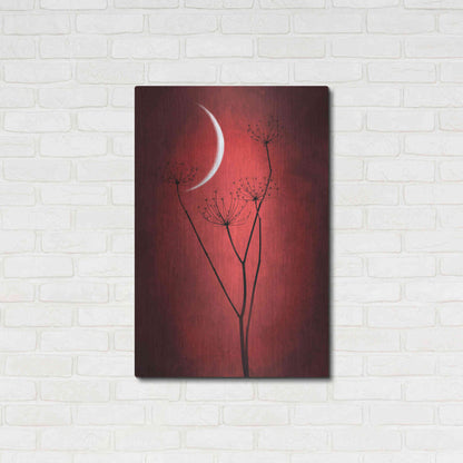Luxe Metal Art 'Red Crescent Moon' by Philippe Sainte-Laudy, Metal Wall Art,24x36