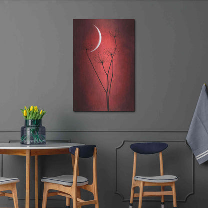 Luxe Metal Art 'Red Crescent Moon' by Philippe Sainte-Laudy, Metal Wall Art,24x36