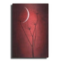 Luxe Metal Art 'Red Crescent Moon' by Philippe Sainte-Laudy, Metal Wall Art