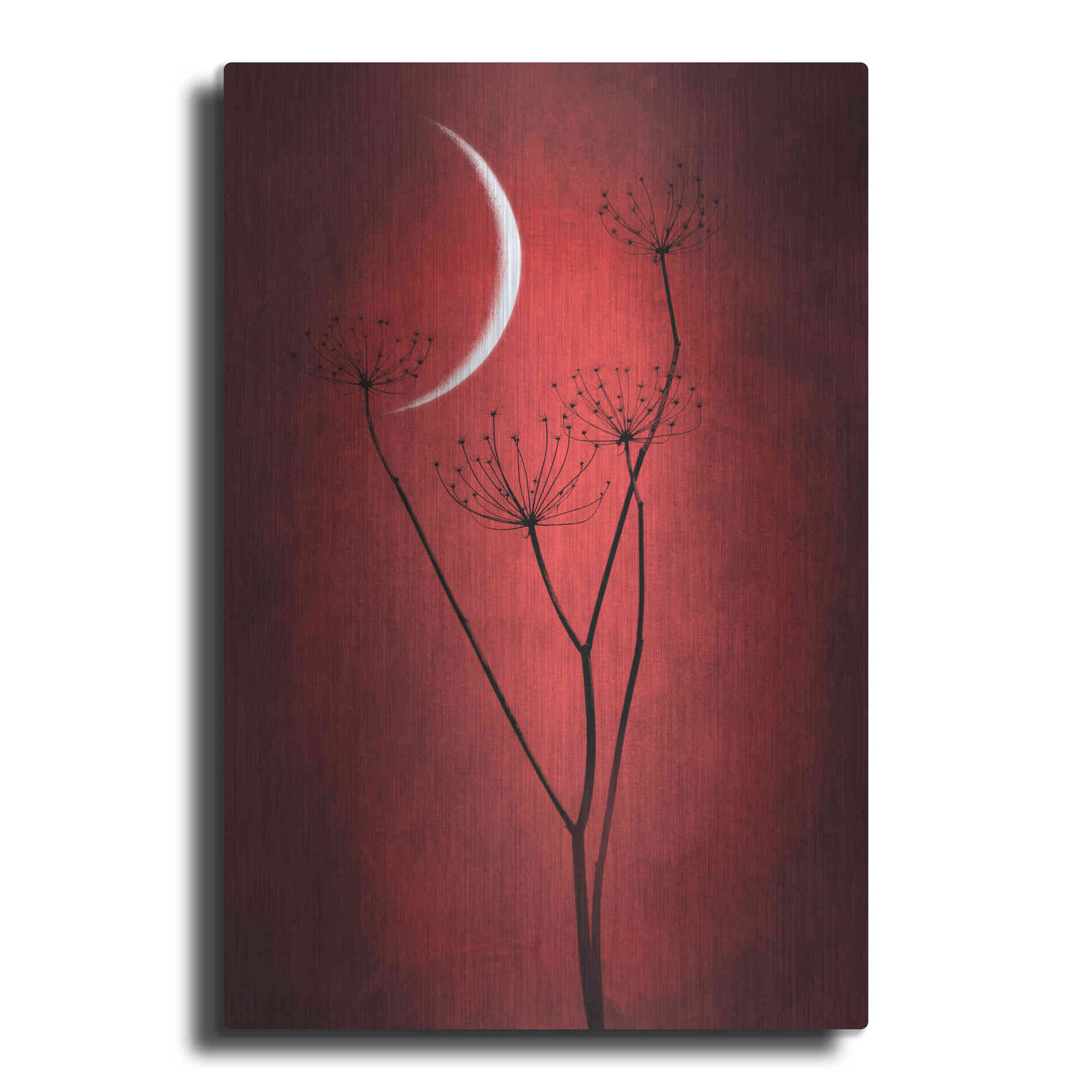 Luxe Metal Art 'Red Crescent Moon' by Philippe Sainte-Laudy, Metal Wall Art