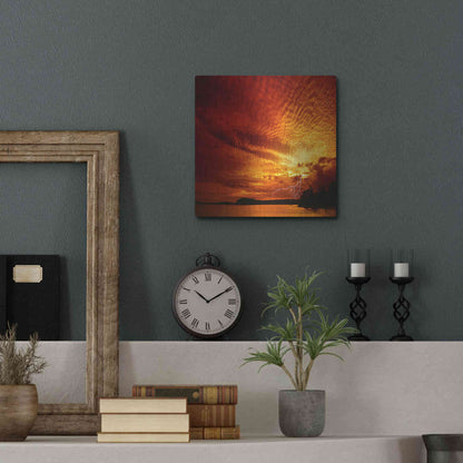 Luxe Metal Art 'Red Storm' by Philippe Sainte-Laudy, Metal Wall Art,12x12