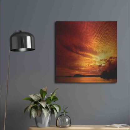 Luxe Metal Art 'Red Storm' by Philippe Sainte-Laudy, Metal Wall Art,24x24