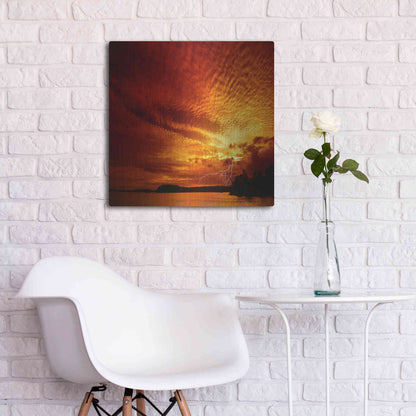 Luxe Metal Art 'Red Storm' by Philippe Sainte-Laudy, Metal Wall Art,24x24