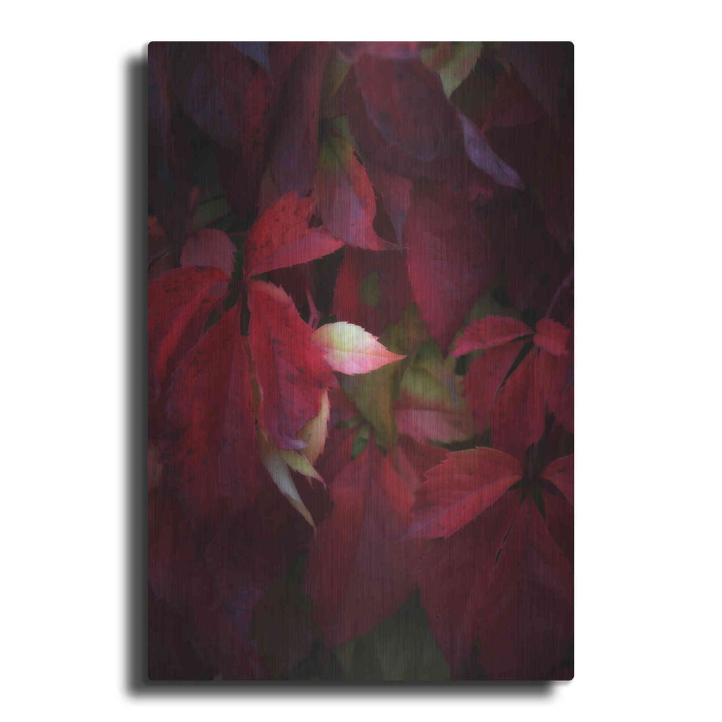 Luxe Metal Art 'Red Velvet' by Philippe Sainte-Laudy, Metal Wall Art