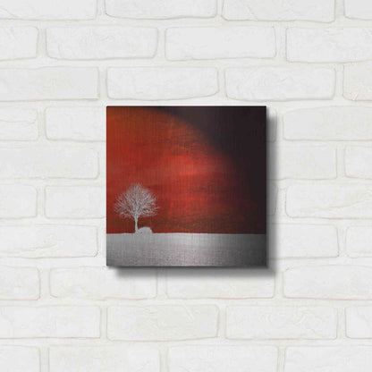 Luxe Metal Art 'Sensation' by Philippe Sainte-Laudy, Metal Wall Art,12x12