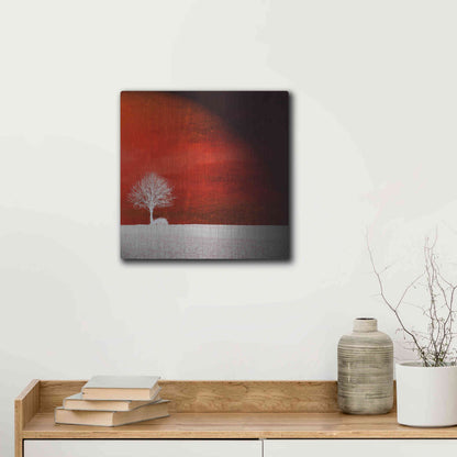 Luxe Metal Art 'Sensation' by Philippe Sainte-Laudy, Metal Wall Art,12x12