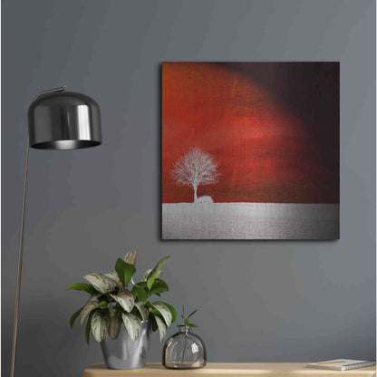 Luxe Metal Art 'Sensation' by Philippe Sainte-Laudy, Metal Wall Art,24x24