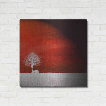 Luxe Metal Art 'Sensation' by Philippe Sainte-Laudy, Metal Wall Art,36x36