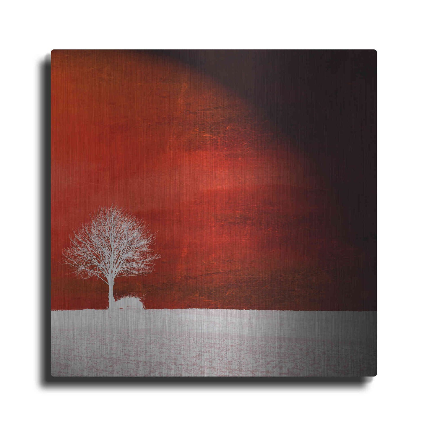 Luxe Metal Art 'Sensation' by Philippe Sainte-Laudy, Metal Wall Art