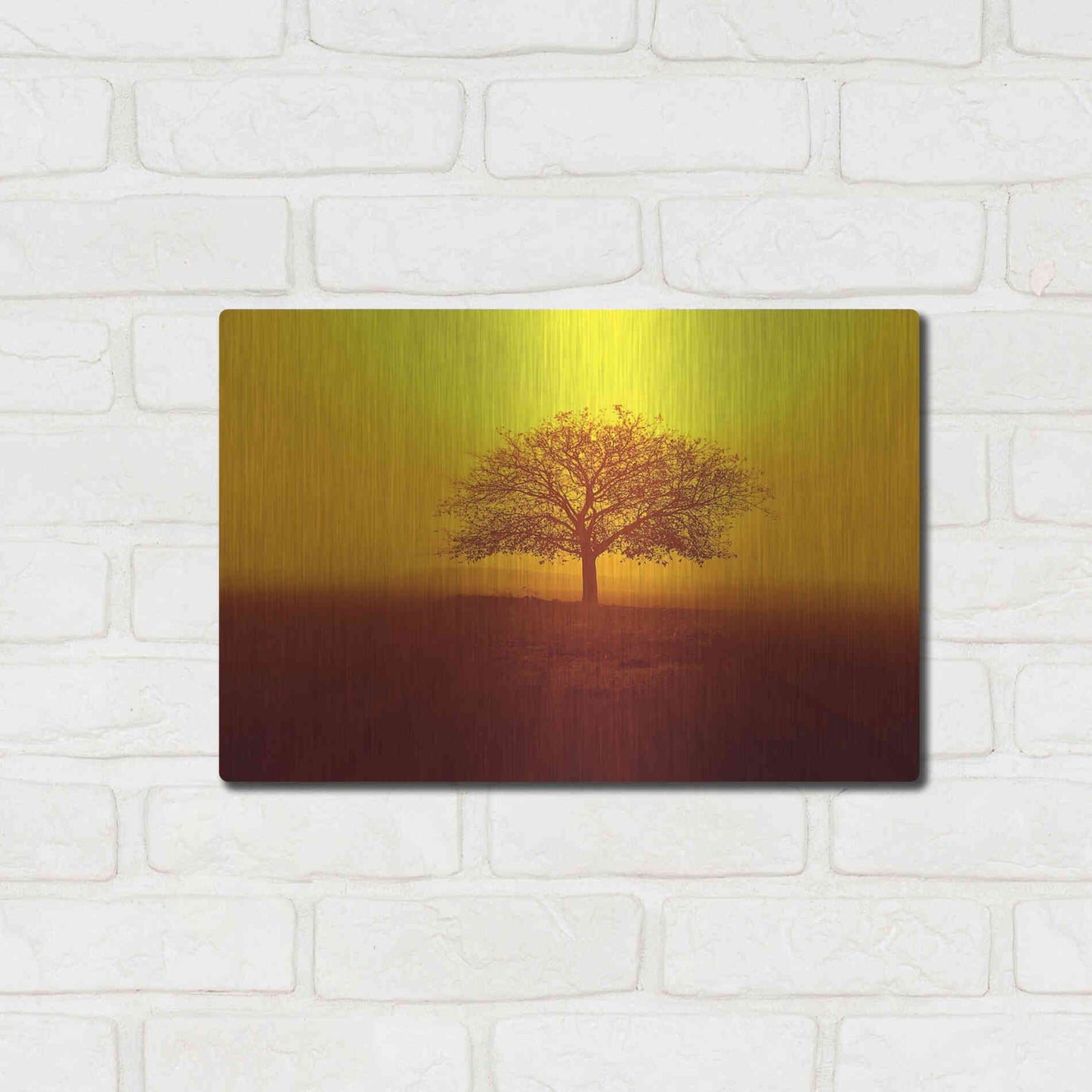 Luxe Metal Art 'So lonely' by Philippe Sainte-Laudy, Metal Wall Art,16x12