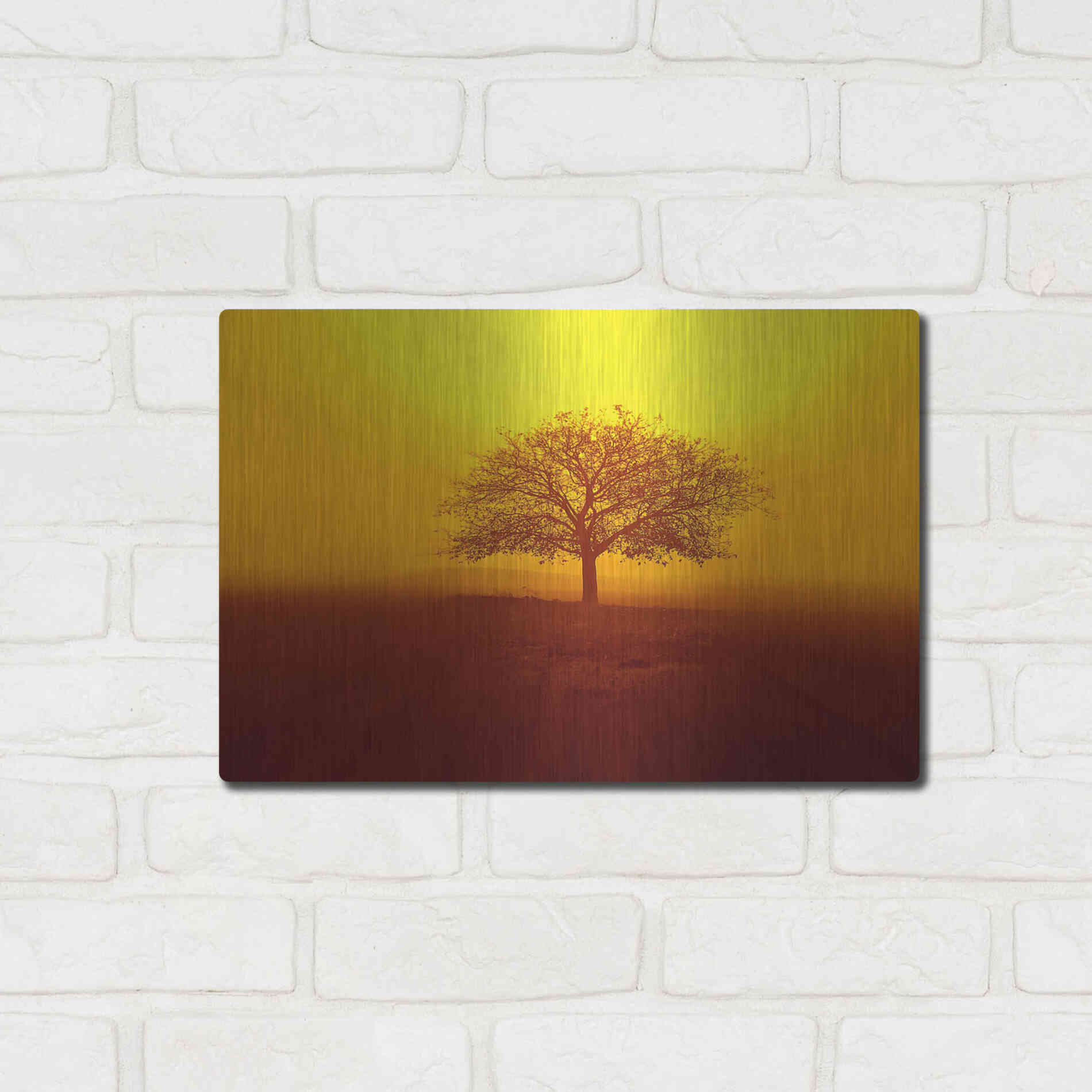 Luxe Metal Art 'So lonely' by Philippe Sainte-Laudy, Metal Wall Art,16x12