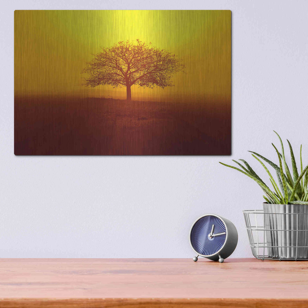 Luxe Metal Art 'So lonely' by Philippe Sainte-Laudy, Metal Wall Art,16x12