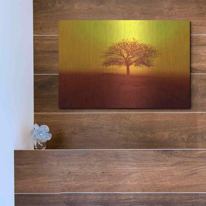 Luxe Metal Art 'So lonely' by Philippe Sainte-Laudy, Metal Wall Art,16x12