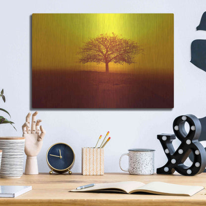 Luxe Metal Art 'So lonely' by Philippe Sainte-Laudy, Metal Wall Art,16x12