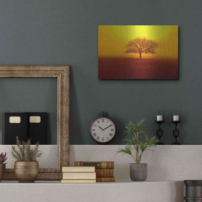 Luxe Metal Art 'So lonely' by Philippe Sainte-Laudy, Metal Wall Art,16x12