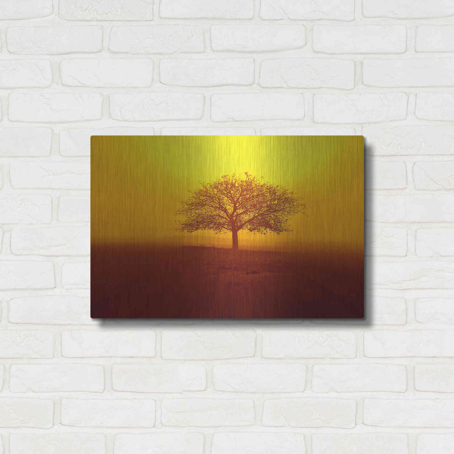 Luxe Metal Art 'So lonely' by Philippe Sainte-Laudy, Metal Wall Art,24x16