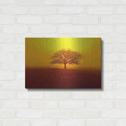 Luxe Metal Art 'So lonely' by Philippe Sainte-Laudy, Metal Wall Art,24x16