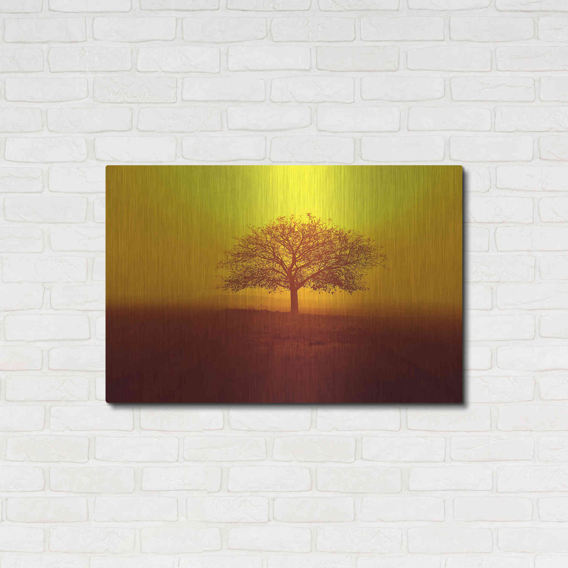 Luxe Metal Art 'So lonely' by Philippe Sainte-Laudy, Metal Wall Art,36x24