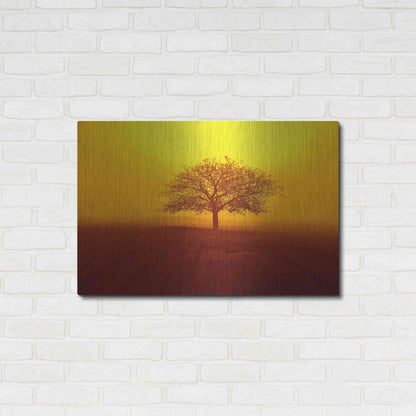 Luxe Metal Art 'So lonely' by Philippe Sainte-Laudy, Metal Wall Art,36x24