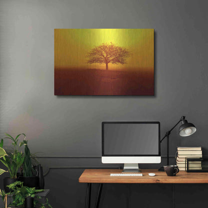 Luxe Metal Art 'So lonely' by Philippe Sainte-Laudy, Metal Wall Art,36x24