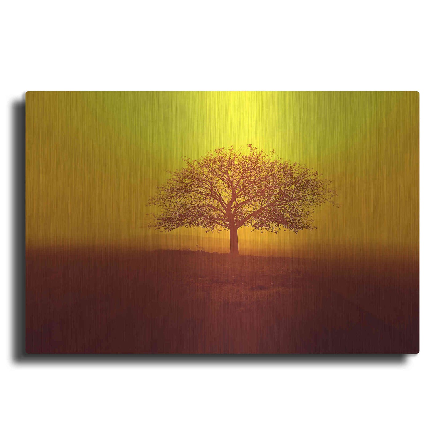 Luxe Metal Art 'So lonely' by Philippe Sainte-Laudy, Metal Wall Art