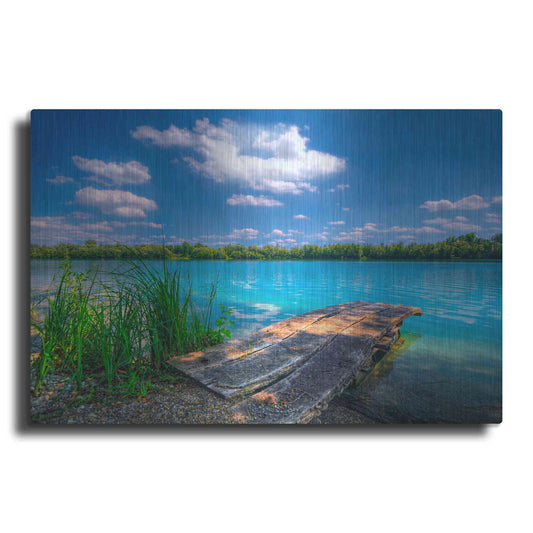 Luxe Metal Art 'Sunny Day' by Philippe Sainte-Laudy, Metal Wall Art