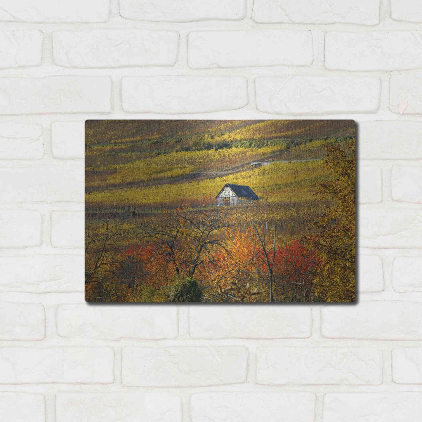 Luxe Metal Art 'The House of Vines' by Philippe Sainte-Laudy, Metal Wall Art,16x12