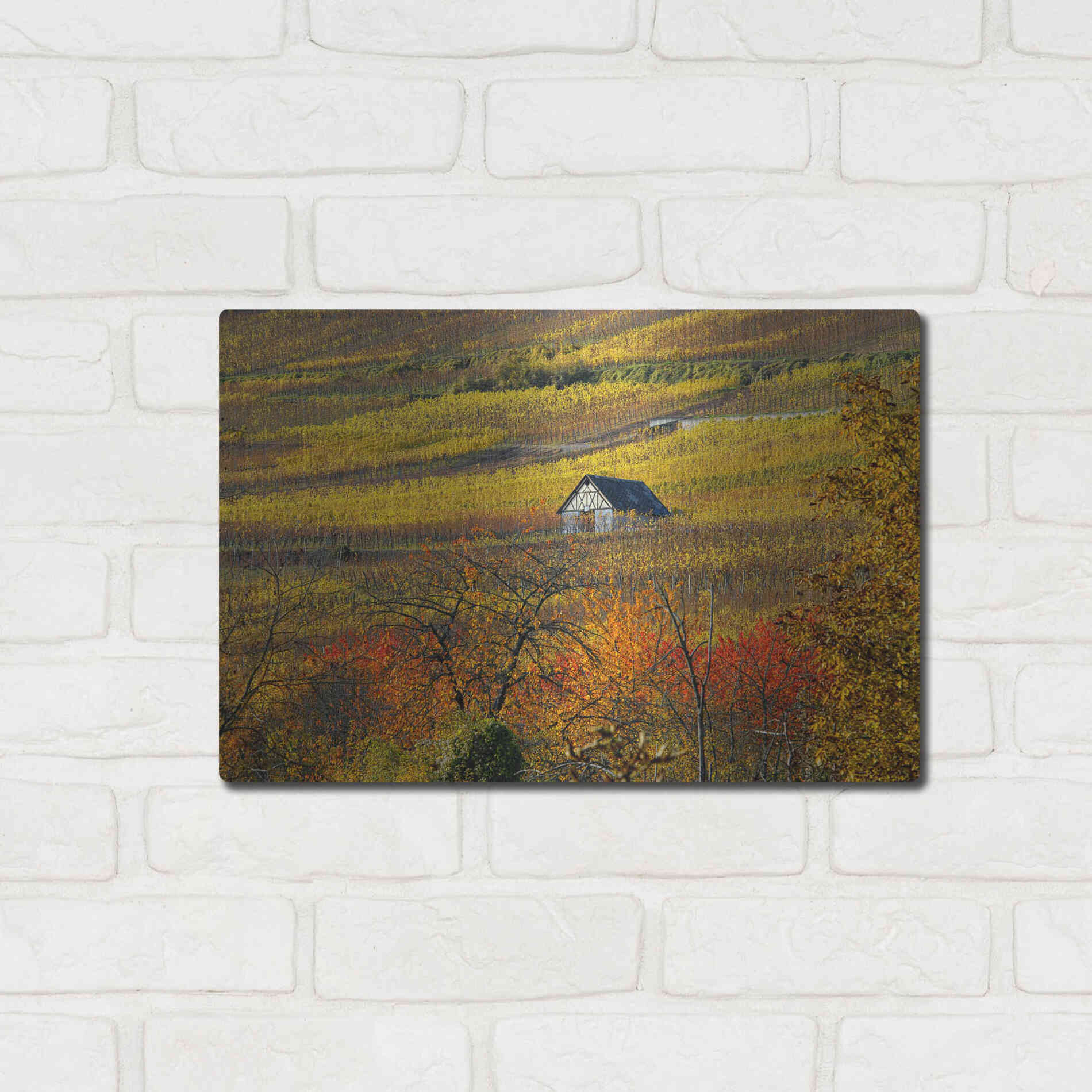 Luxe Metal Art 'The House of Vines' by Philippe Sainte-Laudy, Metal Wall Art,16x12