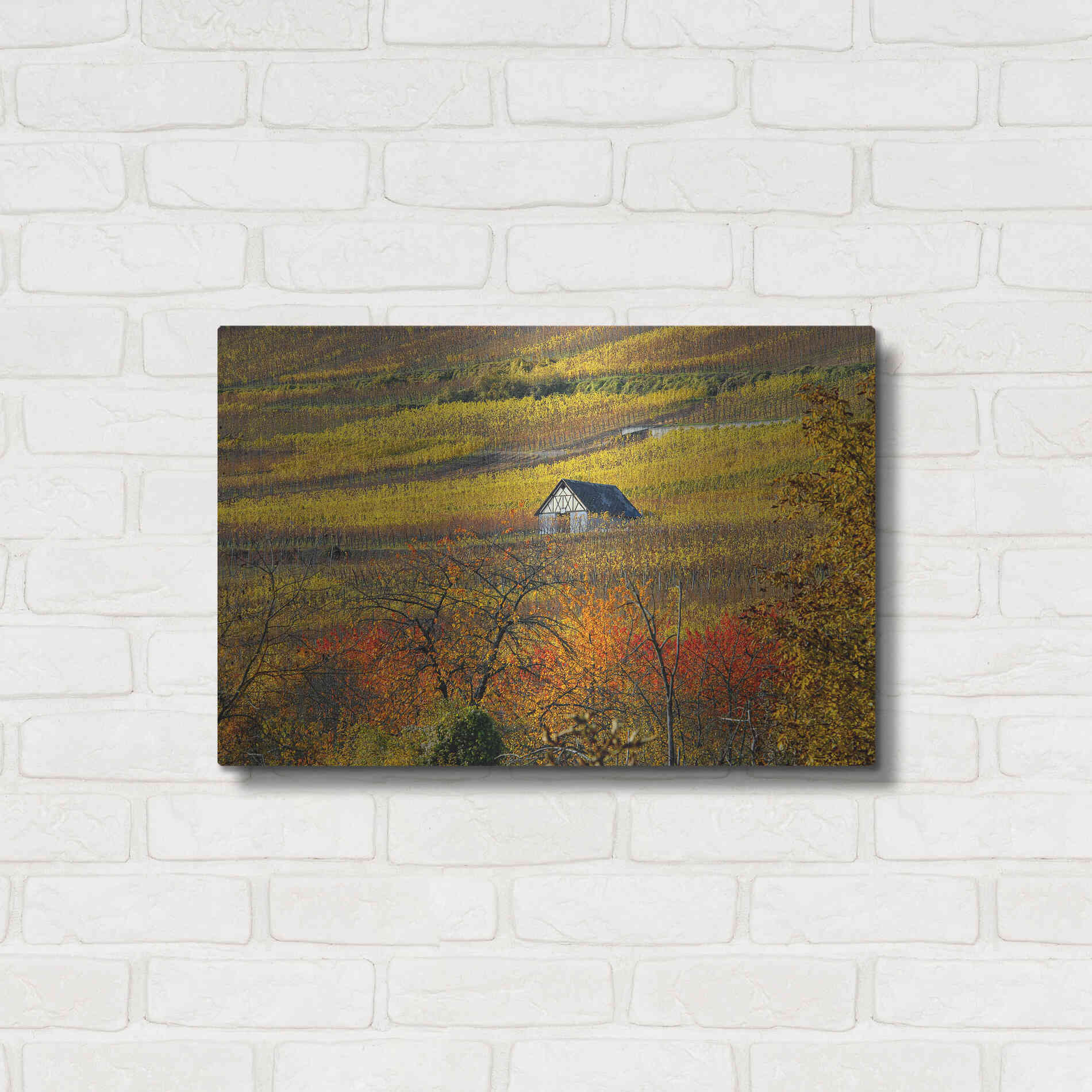 Luxe Metal Art 'The House of Vines' by Philippe Sainte-Laudy, Metal Wall Art,24x16