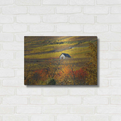 Luxe Metal Art 'The House of Vines' by Philippe Sainte-Laudy, Metal Wall Art,24x16