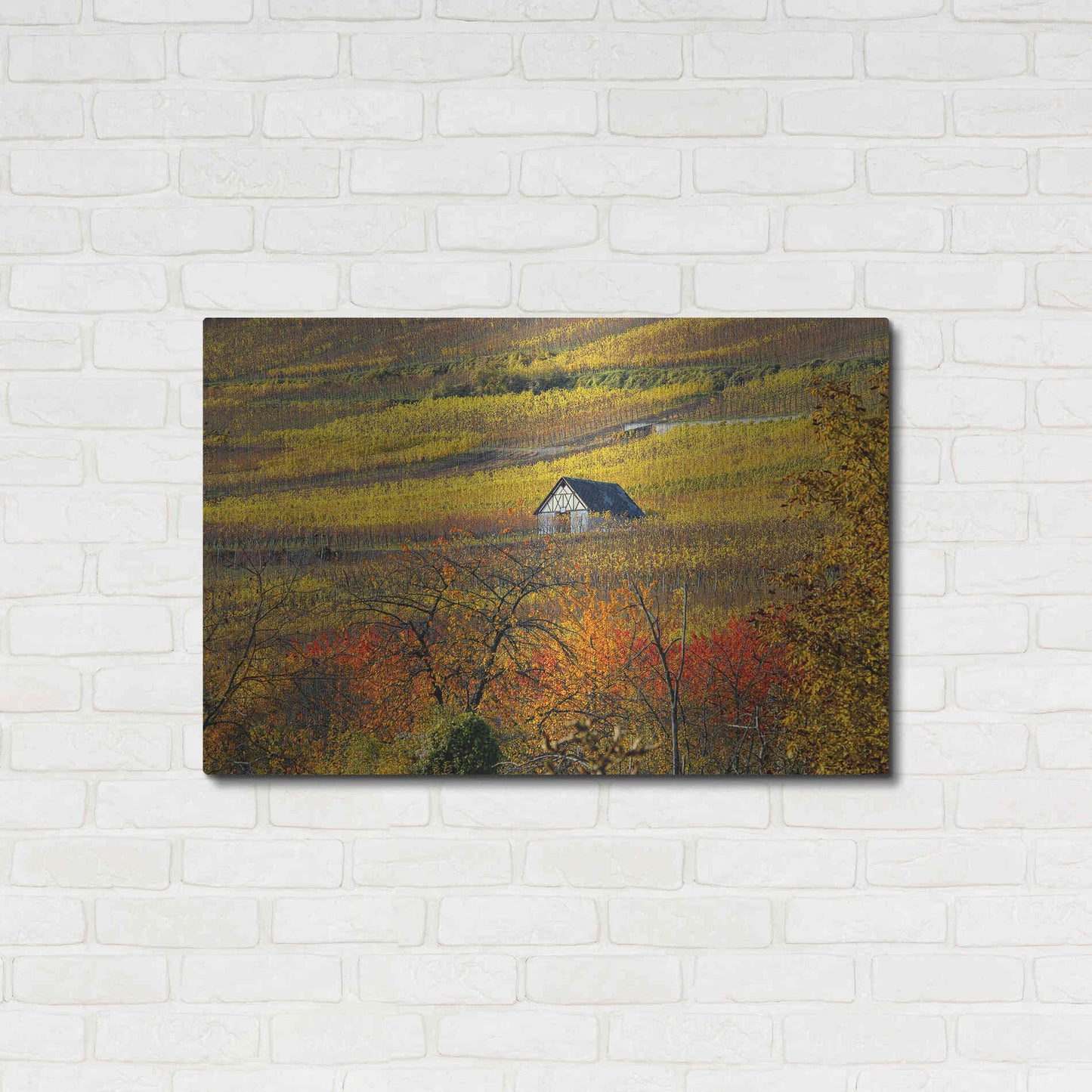 Luxe Metal Art 'The House of Vines' by Philippe Sainte-Laudy, Metal Wall Art,36x24