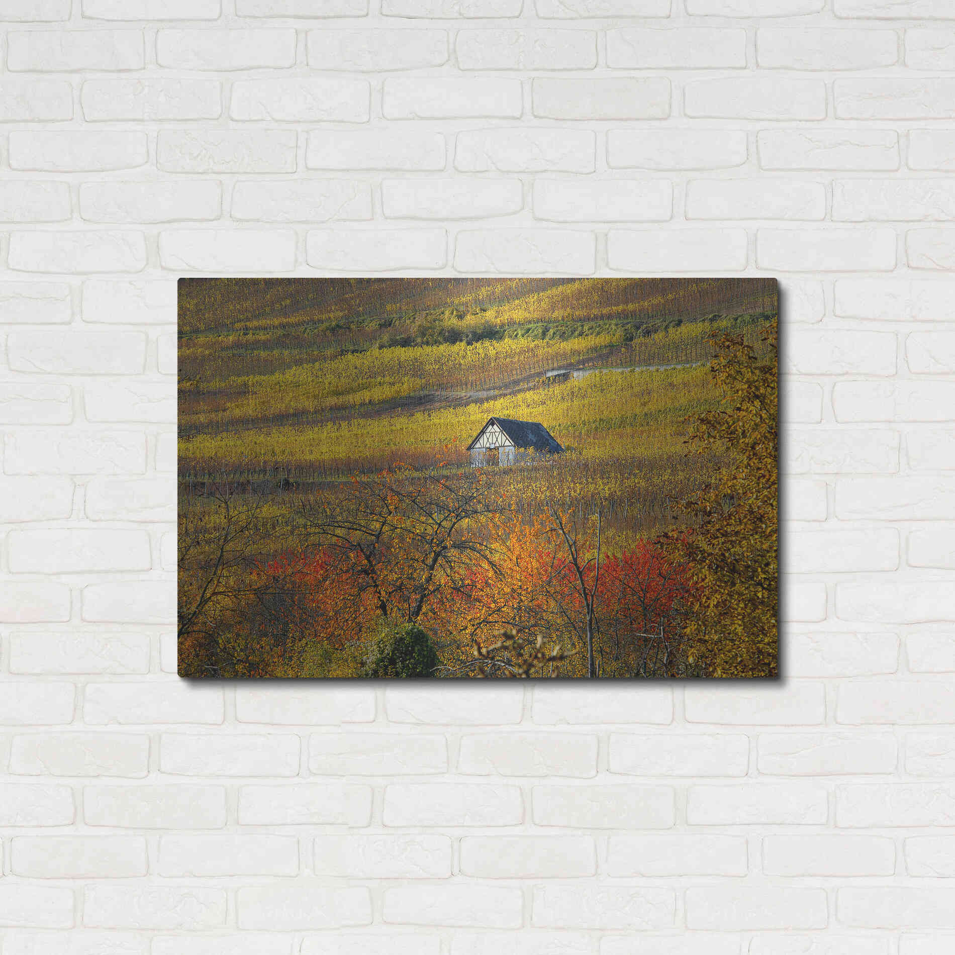 Luxe Metal Art 'The House of Vines' by Philippe Sainte-Laudy, Metal Wall Art,36x24