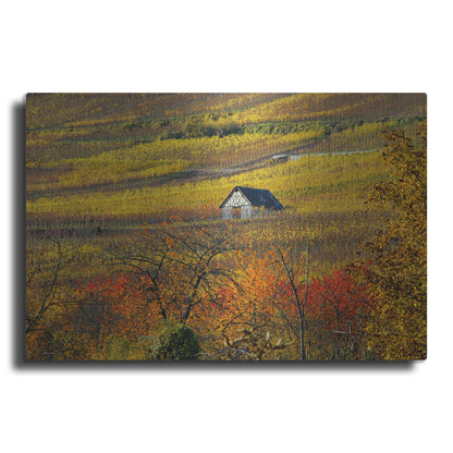 Luxe Metal Art 'The House of Vines' by Philippe Sainte-Laudy, Metal Wall Art