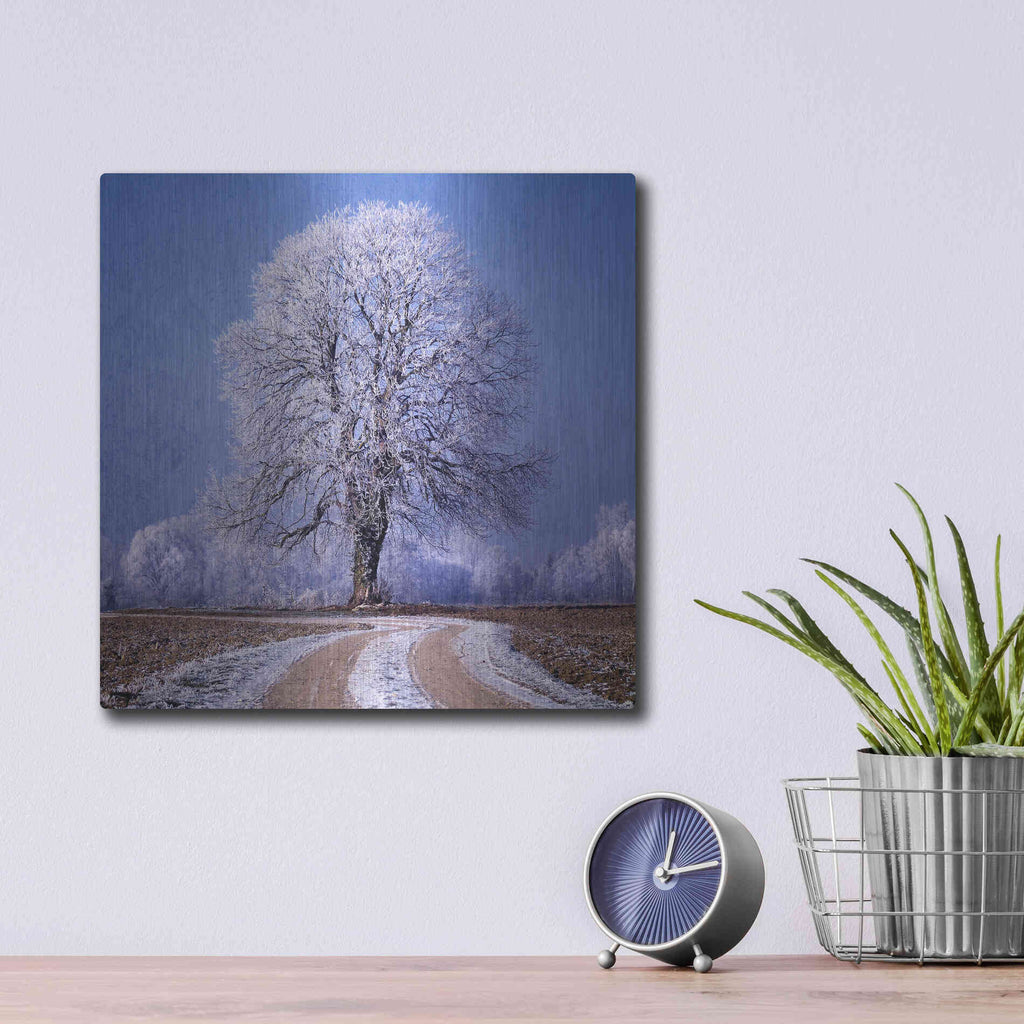 Luxe Metal Art 'The Sounds Of Silence' by Philippe Sainte-Laudy, Metal Wall Art,12x12