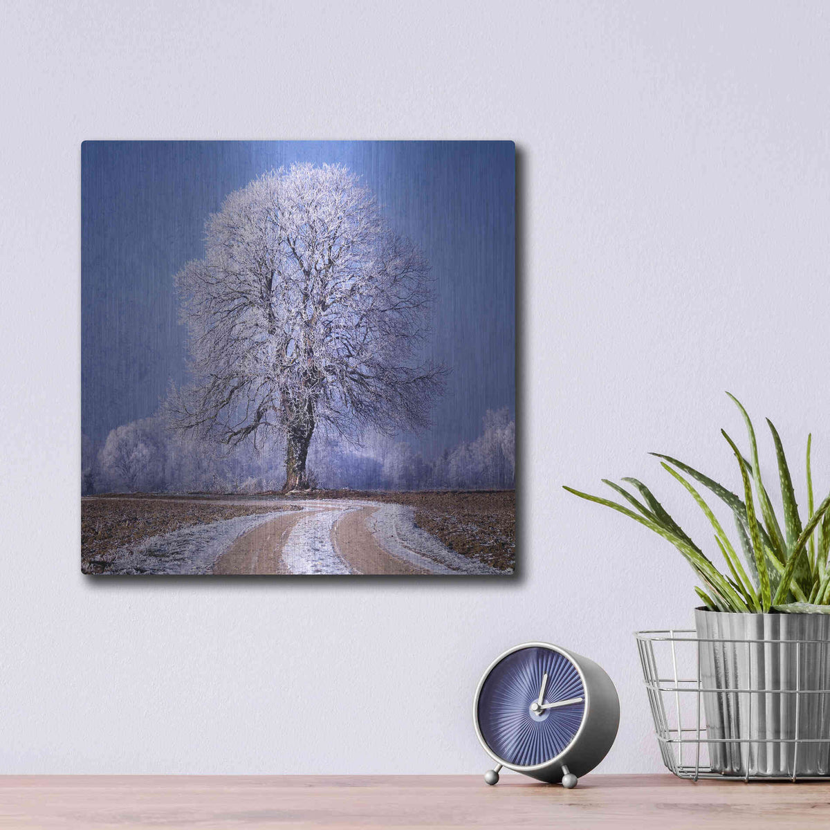 Luxe Metal Art 'The Sounds Of Silence' by Philippe Sainte-Laudy, Metal Wall Art,12x12