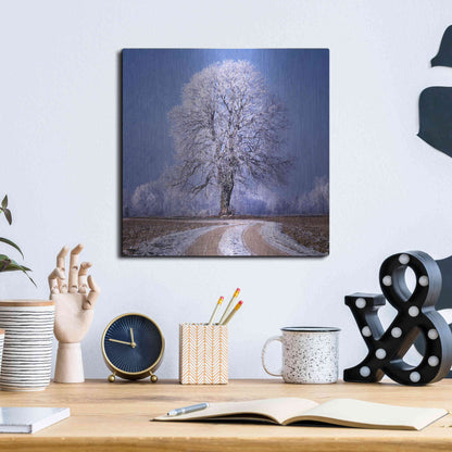 Luxe Metal Art 'The Sounds Of Silence' by Philippe Sainte-Laudy, Metal Wall Art,12x12